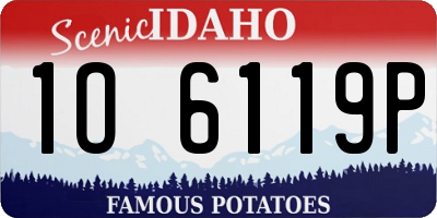 ID license plate 1O6119P