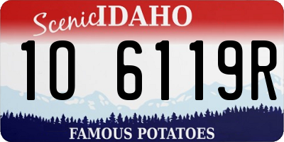 ID license plate 1O6119R