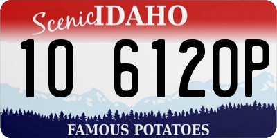 ID license plate 1O6120P