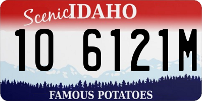 ID license plate 1O6121M