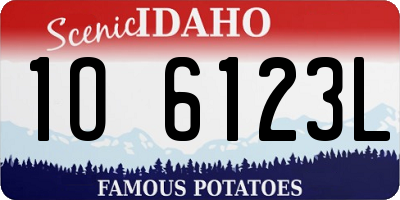ID license plate 1O6123L