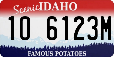 ID license plate 1O6123M