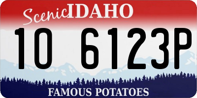 ID license plate 1O6123P
