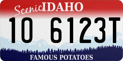 ID license plate 1O6123T