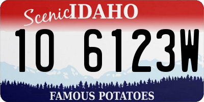 ID license plate 1O6123W