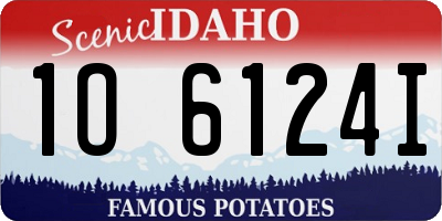 ID license plate 1O6124I