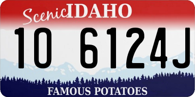 ID license plate 1O6124J