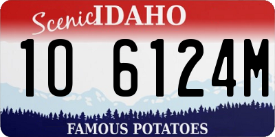 ID license plate 1O6124M