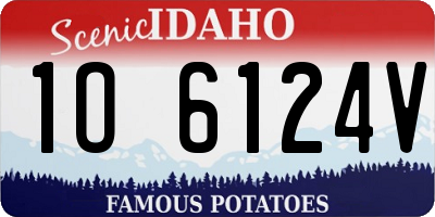 ID license plate 1O6124V