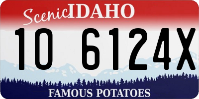 ID license plate 1O6124X