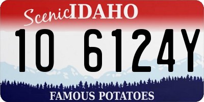 ID license plate 1O6124Y
