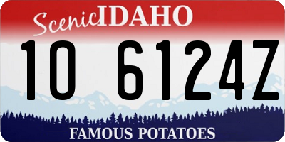 ID license plate 1O6124Z