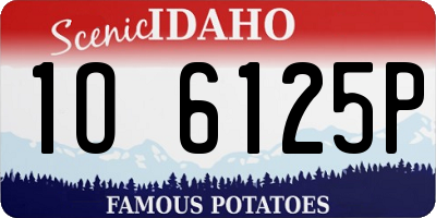 ID license plate 1O6125P