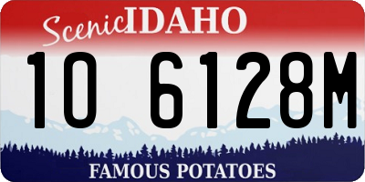 ID license plate 1O6128M