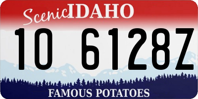 ID license plate 1O6128Z