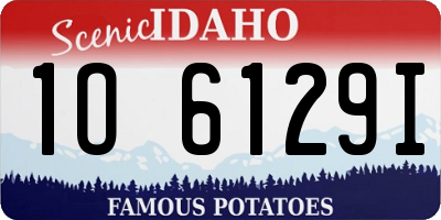 ID license plate 1O6129I