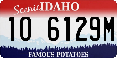 ID license plate 1O6129M