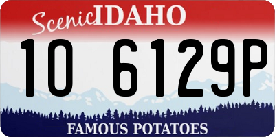 ID license plate 1O6129P