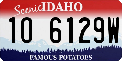 ID license plate 1O6129W