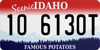 ID license plate 1O6130T