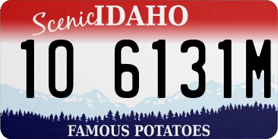 ID license plate 1O6131M
