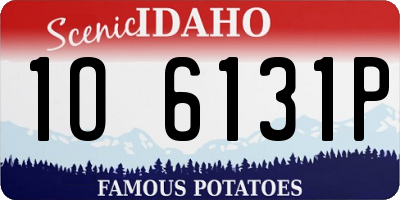 ID license plate 1O6131P
