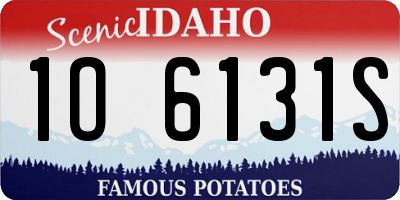 ID license plate 1O6131S