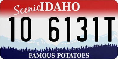 ID license plate 1O6131T
