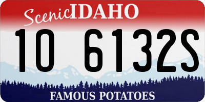 ID license plate 1O6132S