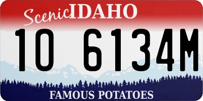 ID license plate 1O6134M