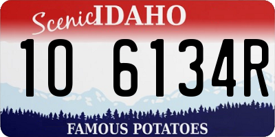 ID license plate 1O6134R