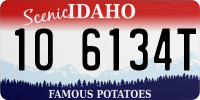 ID license plate 1O6134T