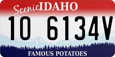 ID license plate 1O6134V