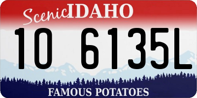 ID license plate 1O6135L