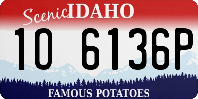 ID license plate 1O6136P
