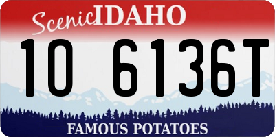ID license plate 1O6136T