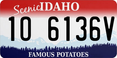 ID license plate 1O6136V