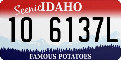 ID license plate 1O6137L