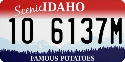 ID license plate 1O6137M