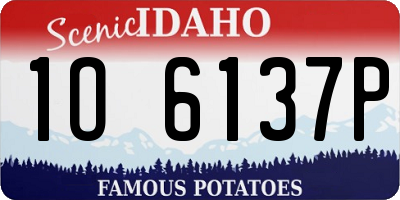 ID license plate 1O6137P