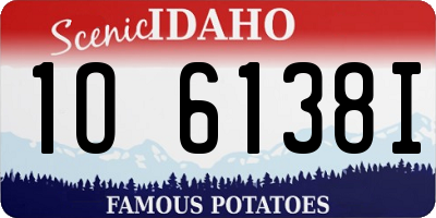 ID license plate 1O6138I