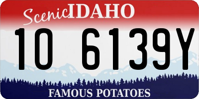 ID license plate 1O6139Y