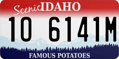 ID license plate 1O6141M