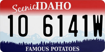 ID license plate 1O6141W