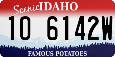 ID license plate 1O6142W