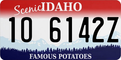 ID license plate 1O6142Z