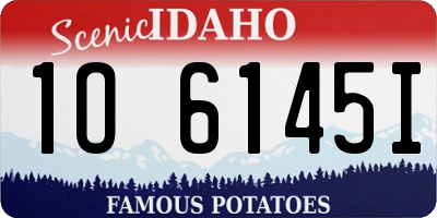 ID license plate 1O6145I