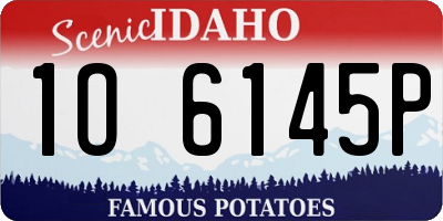 ID license plate 1O6145P