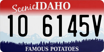 ID license plate 1O6145V