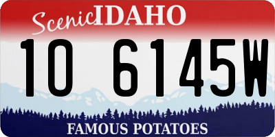 ID license plate 1O6145W